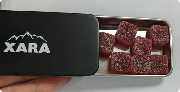 Health Supplements Premium Daily Wellness Formula